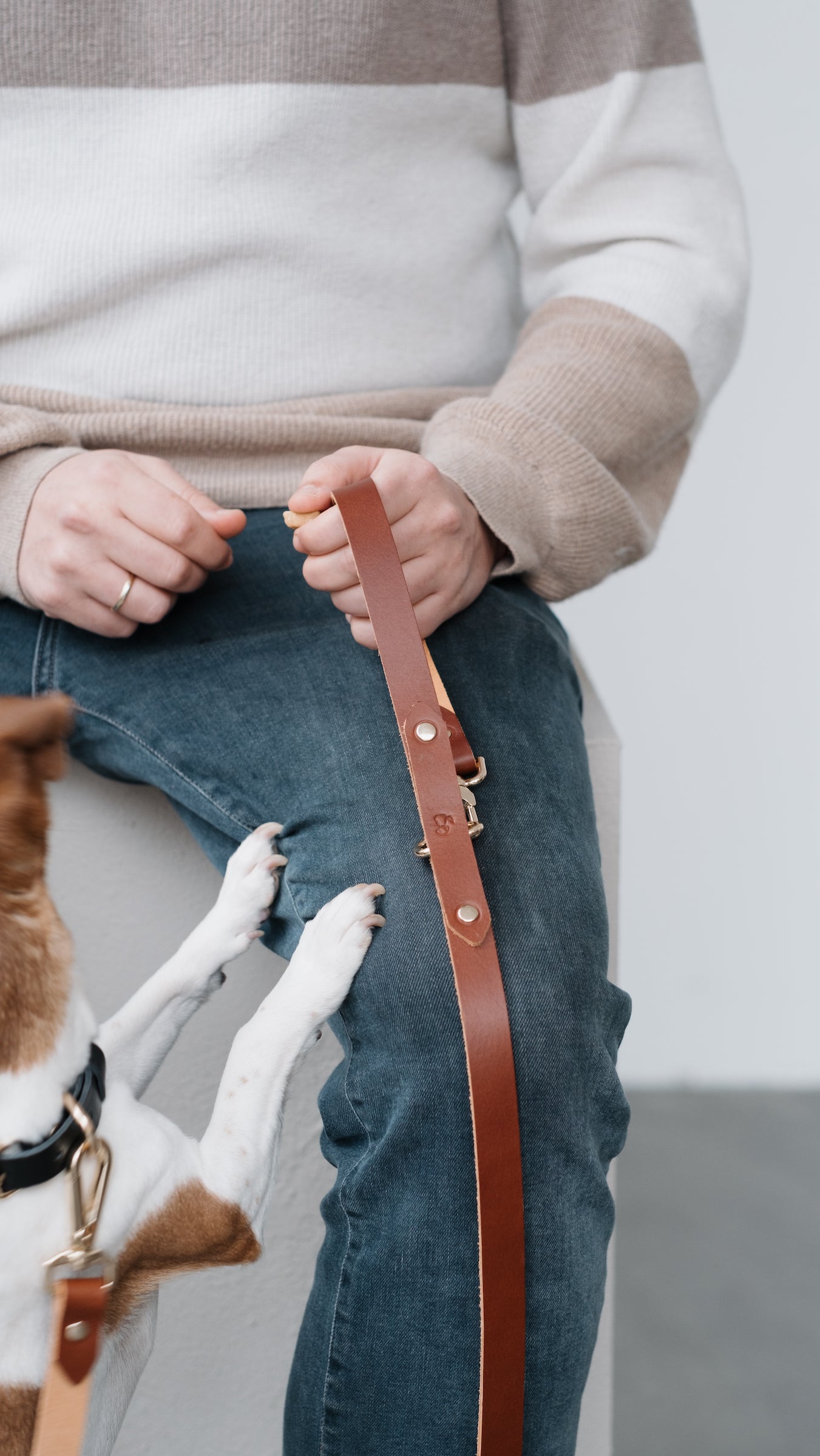 Hands Free Gezdirme Kayışı - Konyak