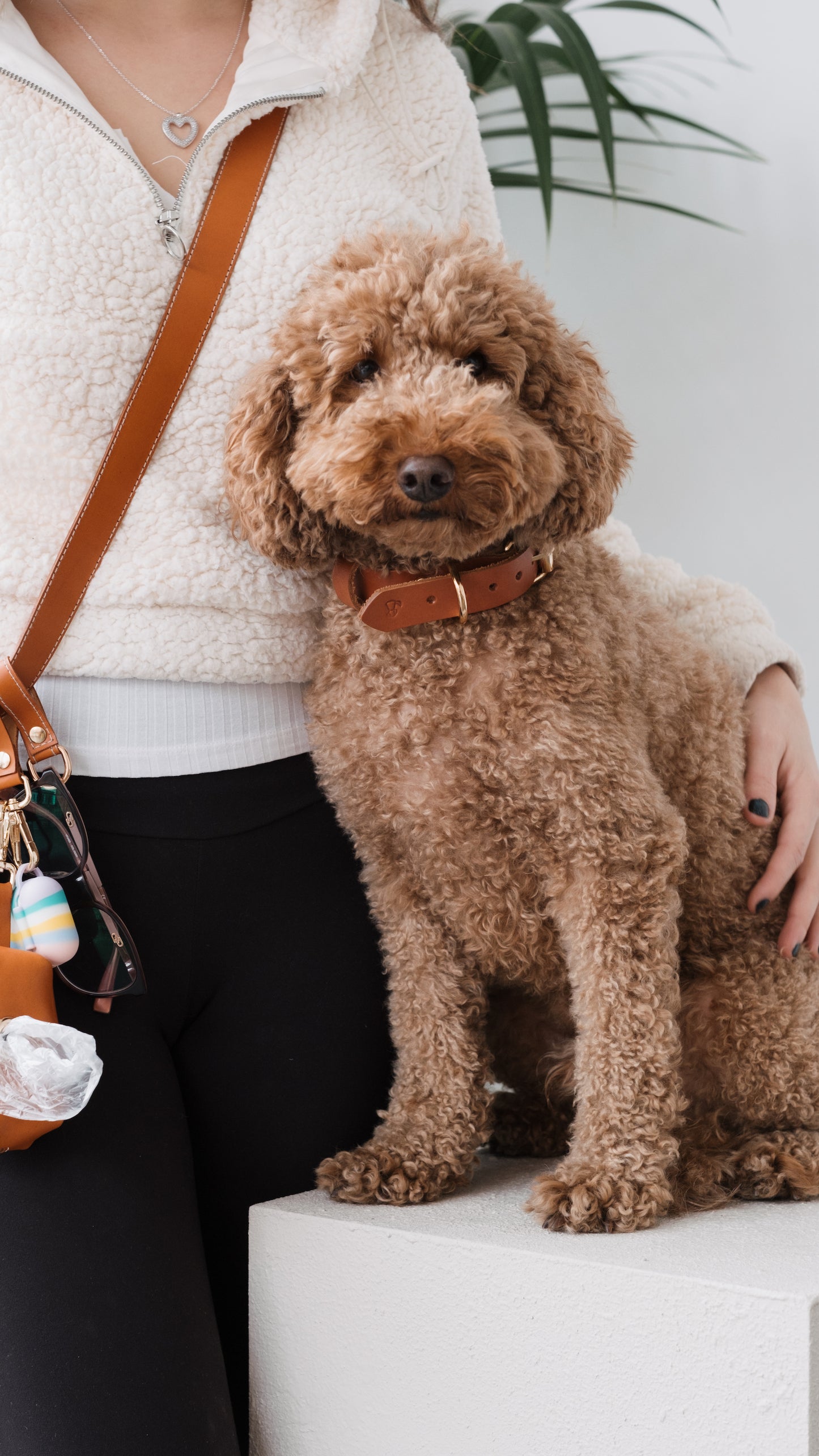 Multibag / Çok Amaçlı Köpek Gezdirme Kemeri - Taba