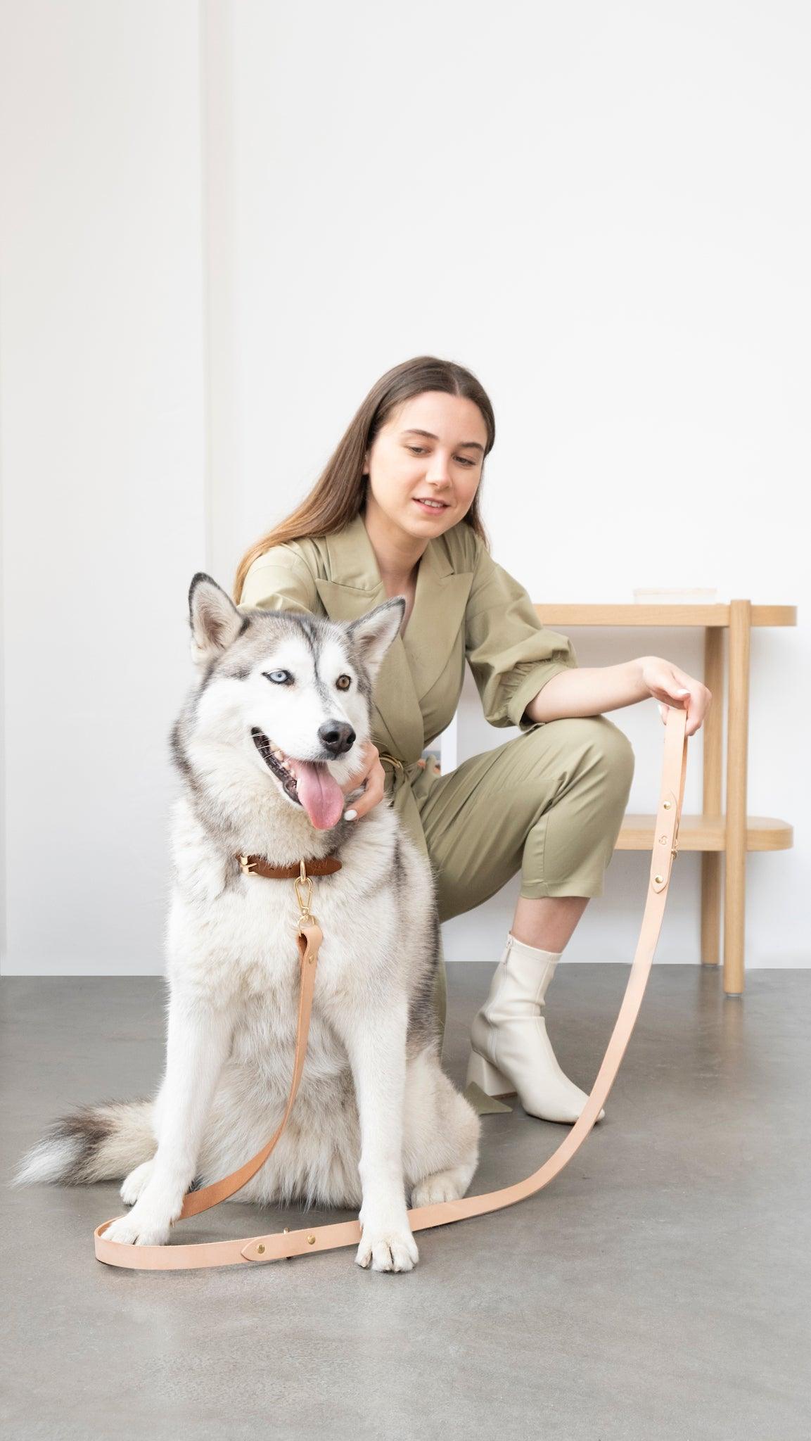 Hands Free Gezdirme Kayışı - Pups & Itchy
