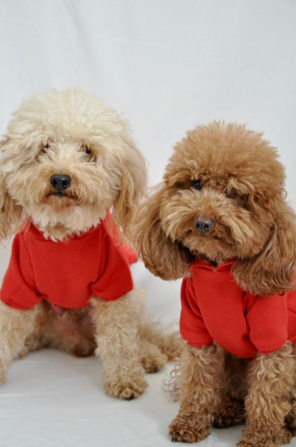 Maura Hoodie - Kırmızı - Pups & Itchy
