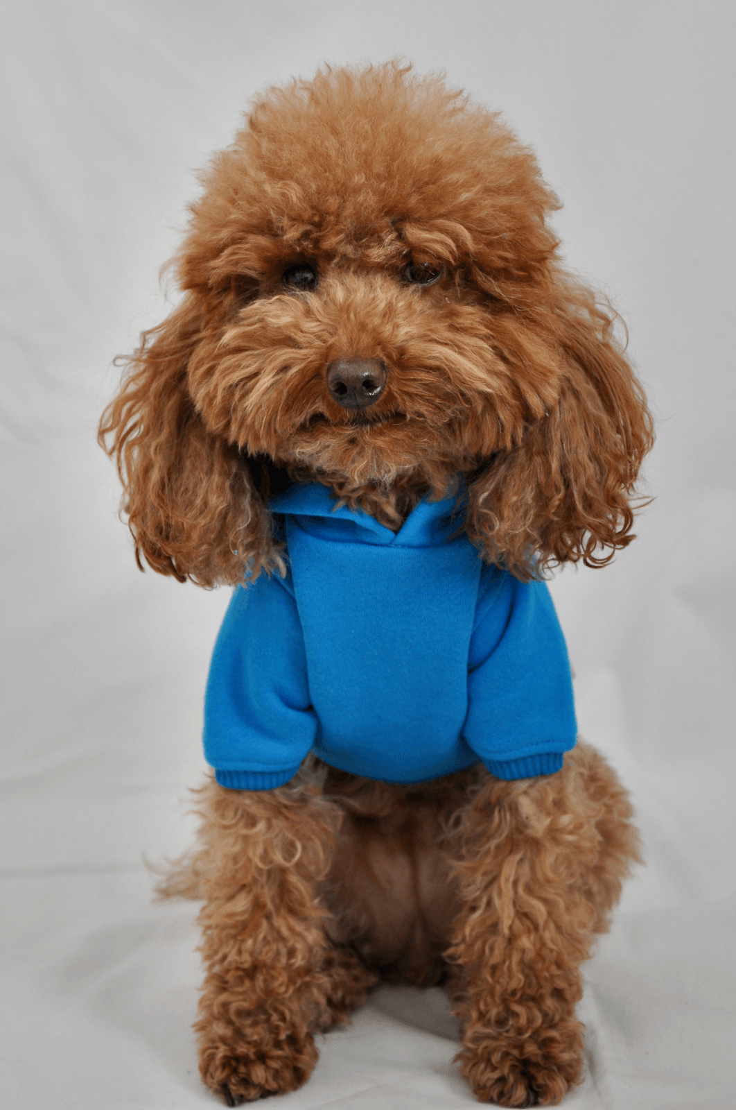 Maura Hoodie - Mavi - Pups & Itchy