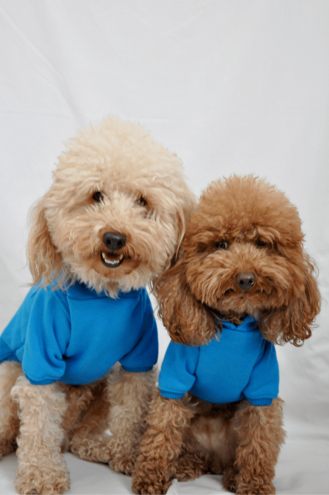 Maura Hoodie - Mavi - Pups & Itchy