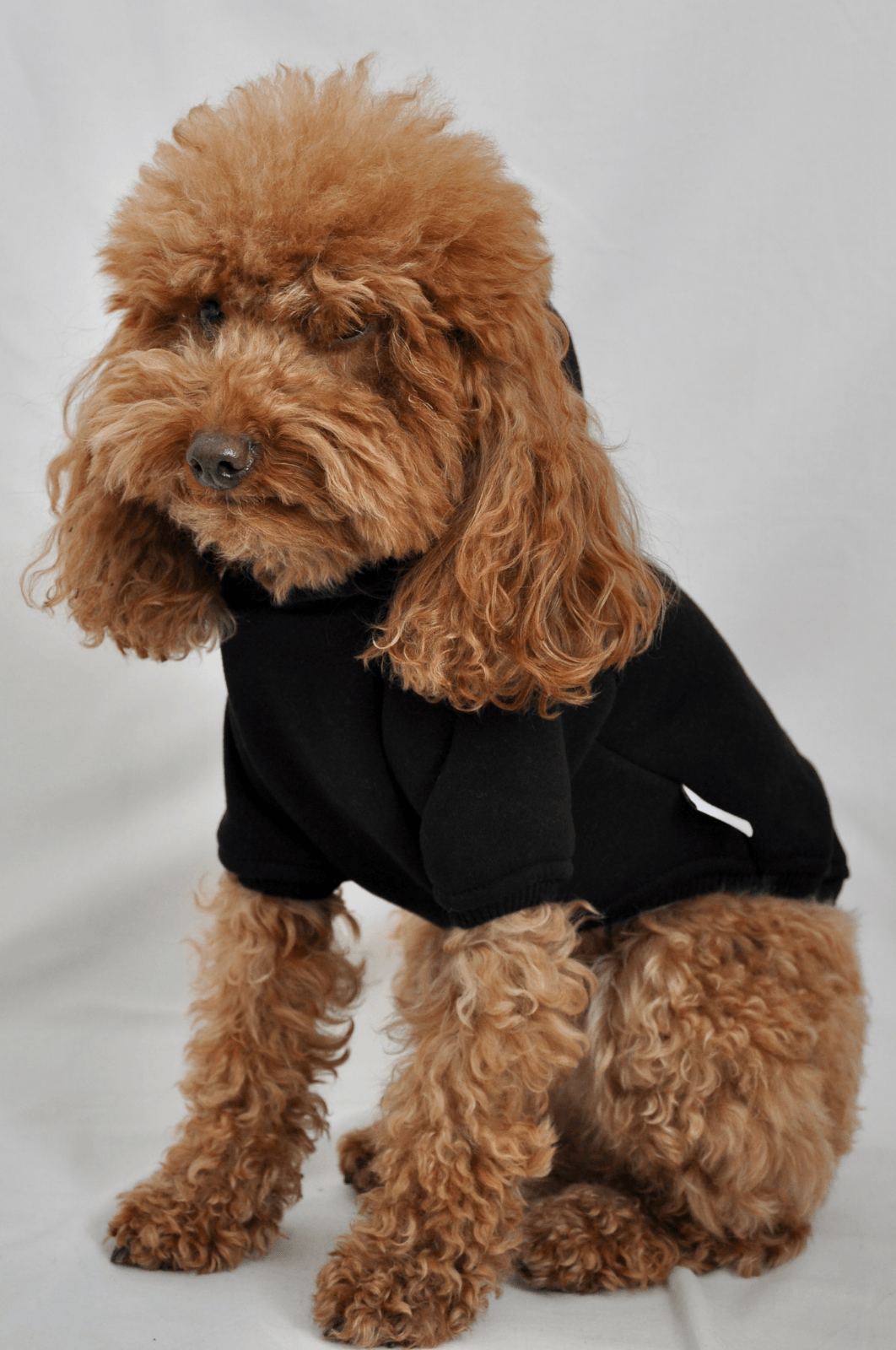 Maura Hoodie - Siyah - Pups & Itchy