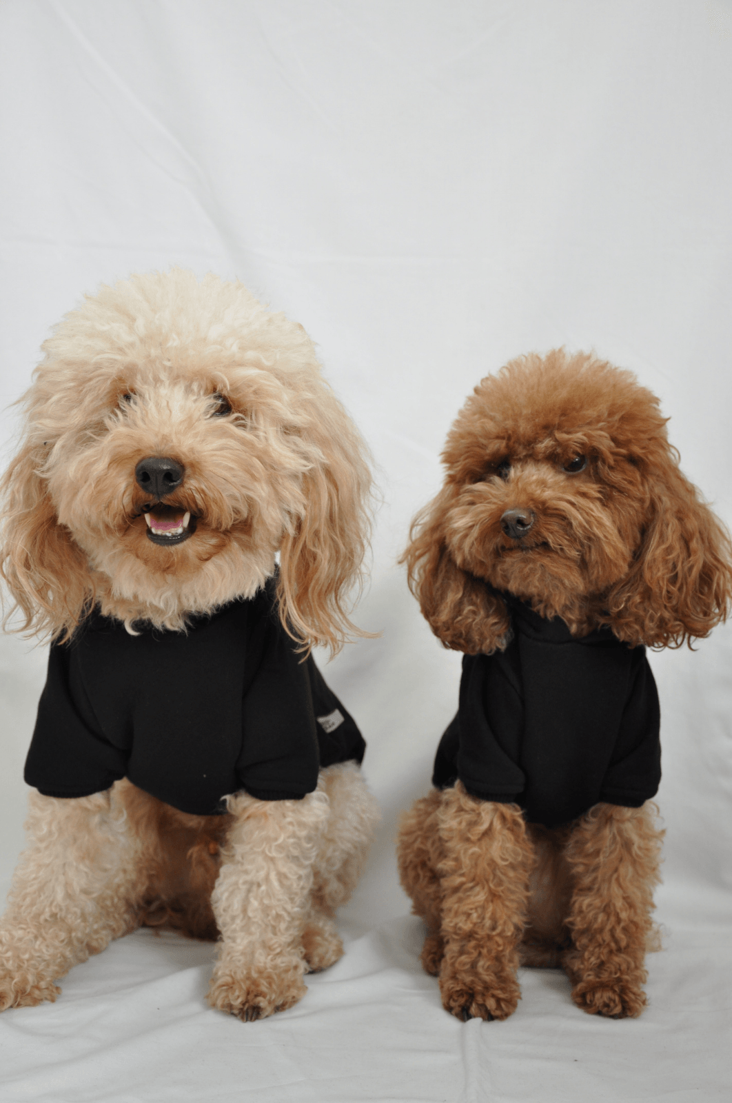 Maura Hoodie - Siyah - Pups & Itchy