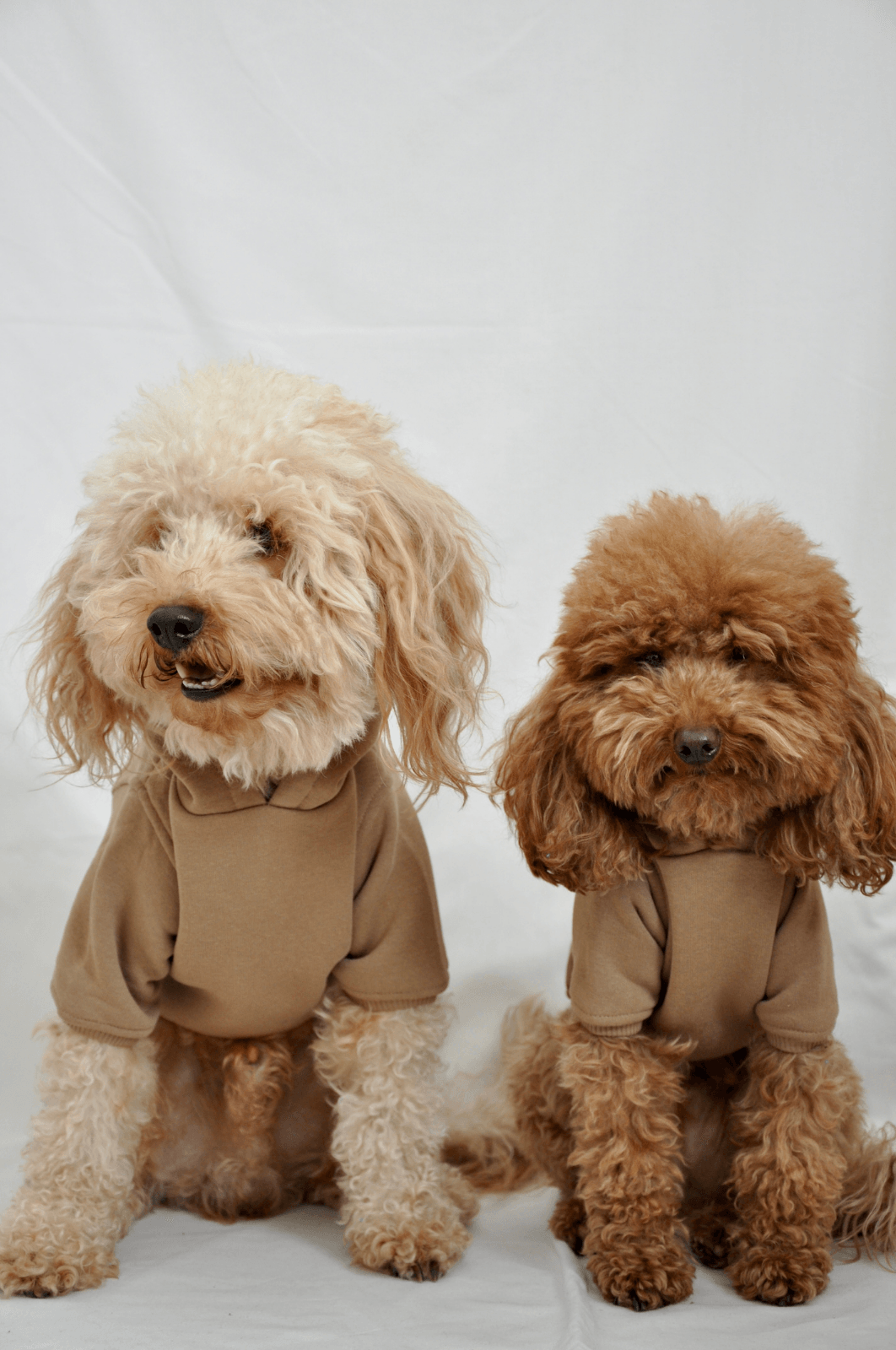 Maura Hoodie - Kahve - Pups & Itchy