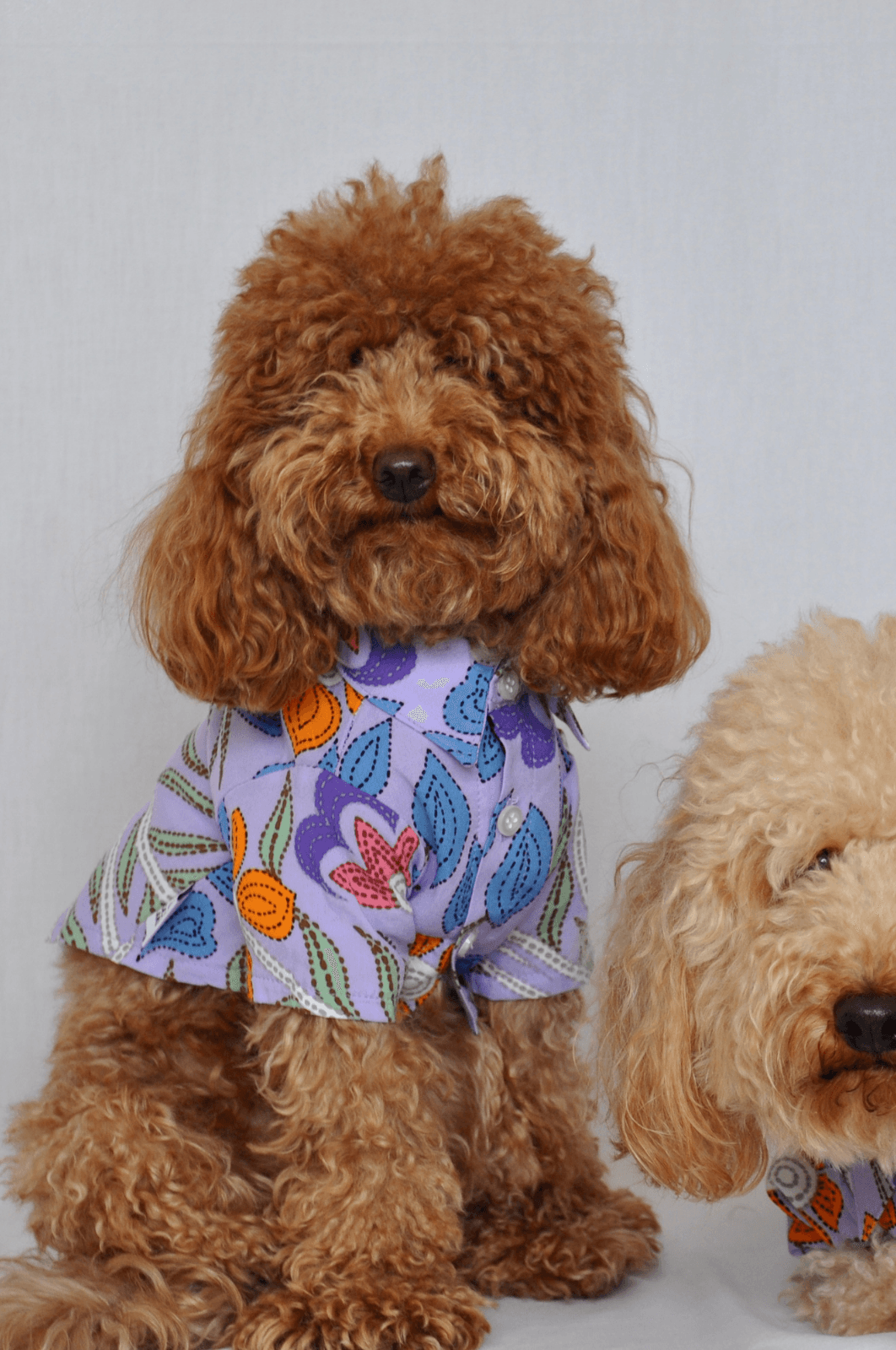 Desenli Gömlek - Viscose - Pups & Itchy