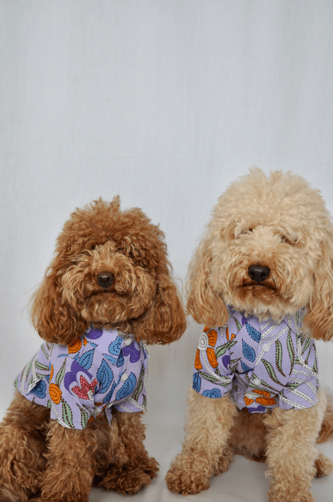 Desenli Gömlek - Viscose - Pups & Itchy