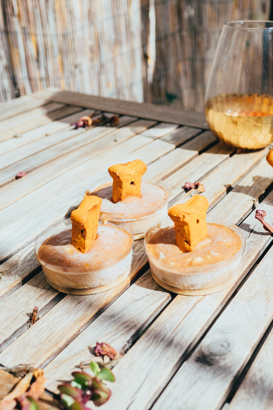 Köpekler İçin Bal Kabaklı Pupcake Tarifi - Pups & Itchy
