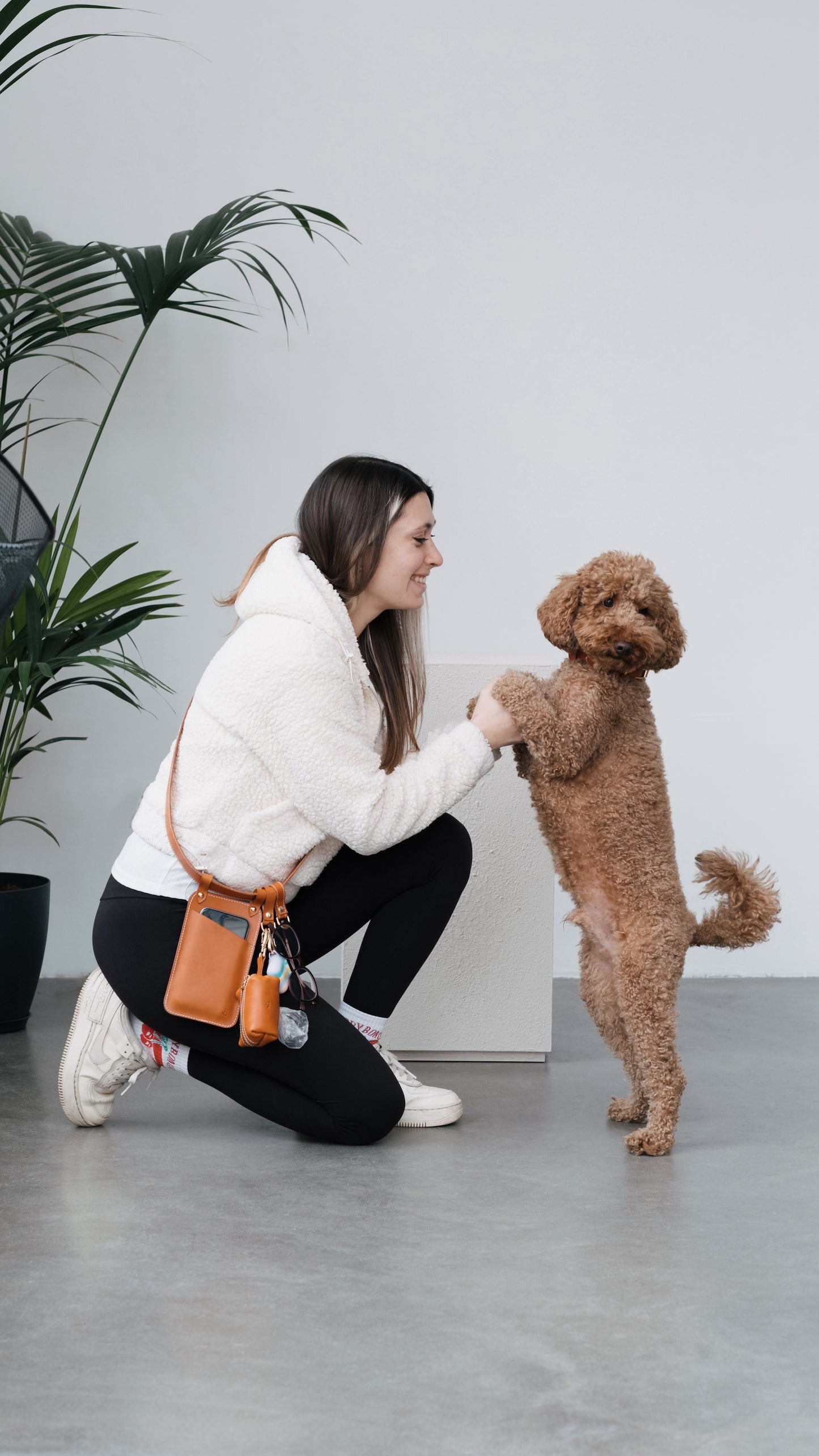 Multibag / Çok Amaçlı Köpek Gezdirme Kemeri - Siyah