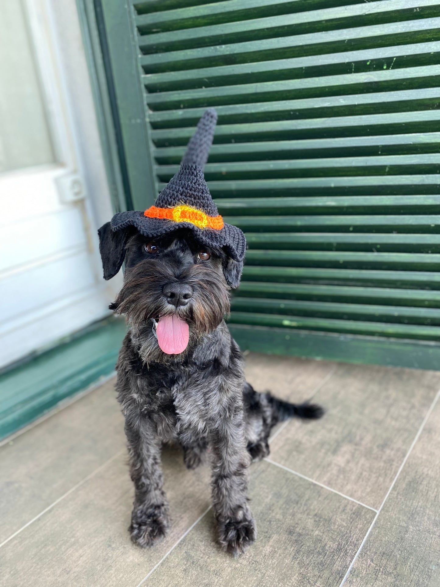 Köpek Şapka - Cadı