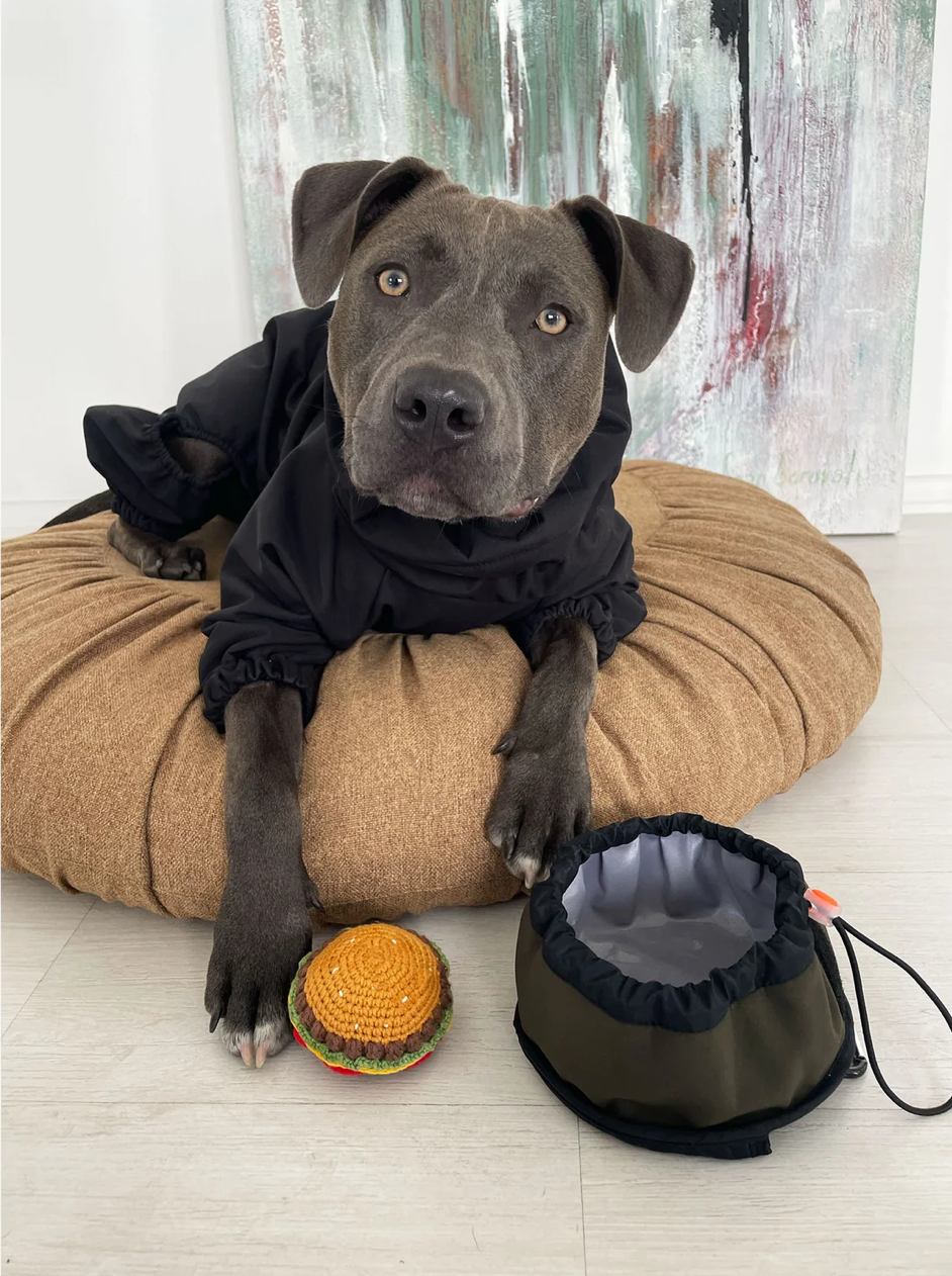 Köpek Oyuncak - Burger Ball