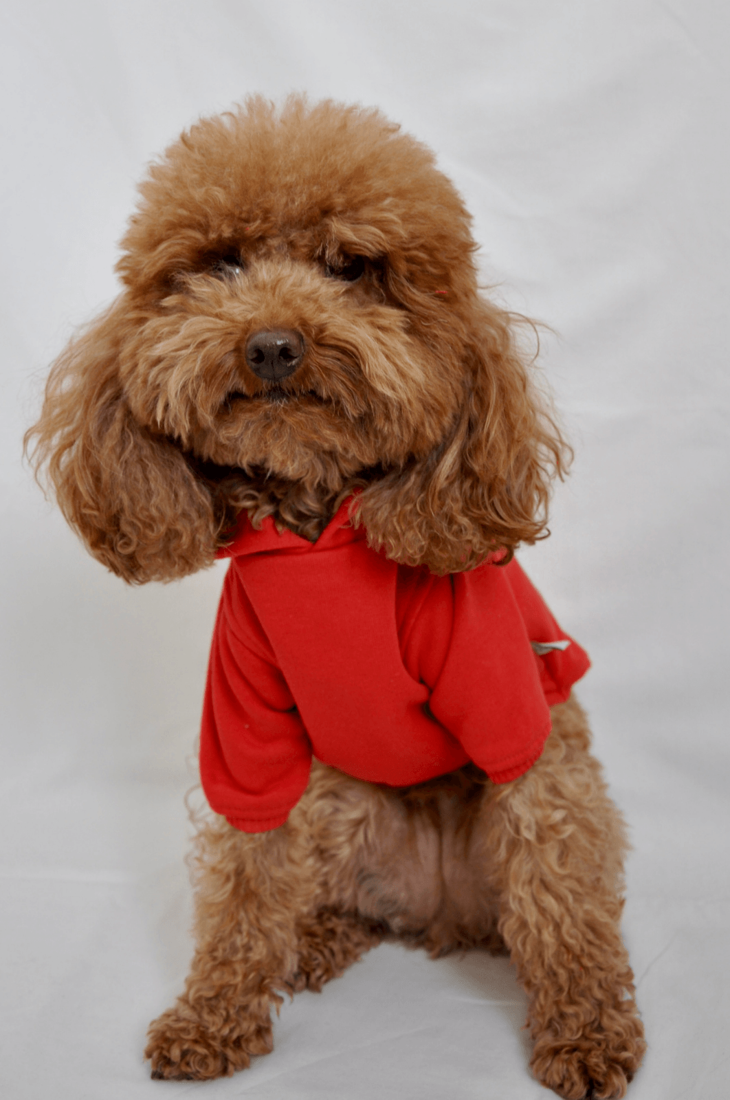 Maura Hoodie - Kırmızı - Pups & Itchy