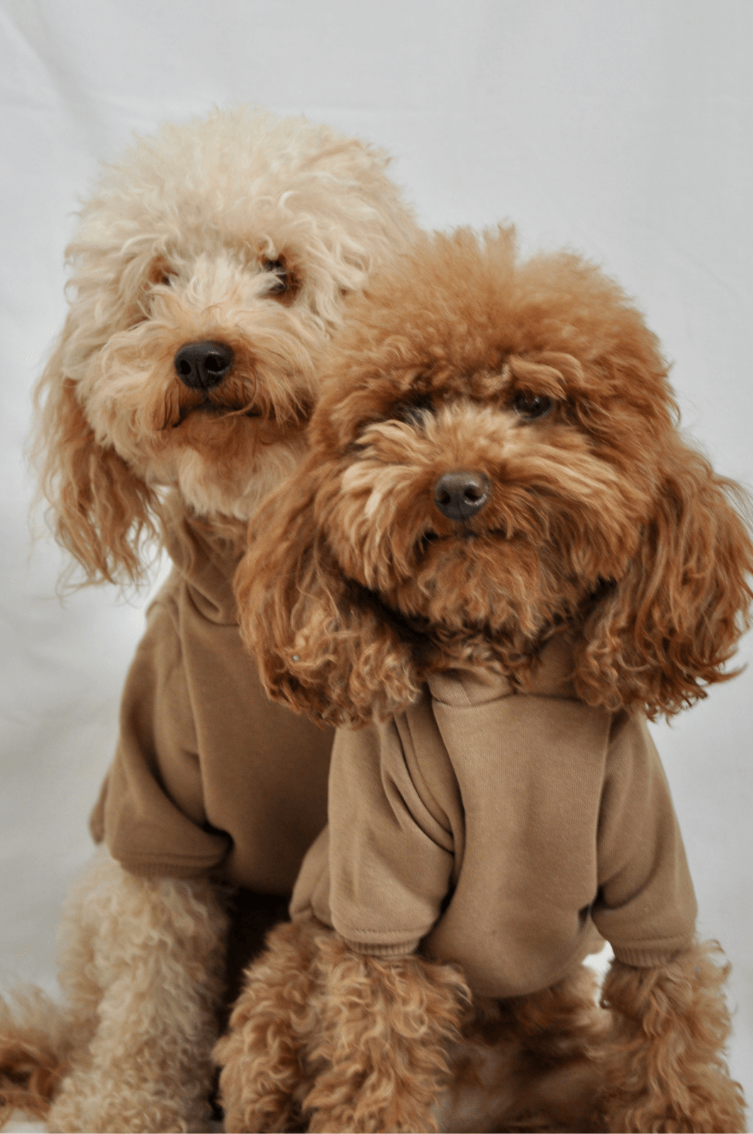 Maura Hoodie - Kahve - Pups & Itchy