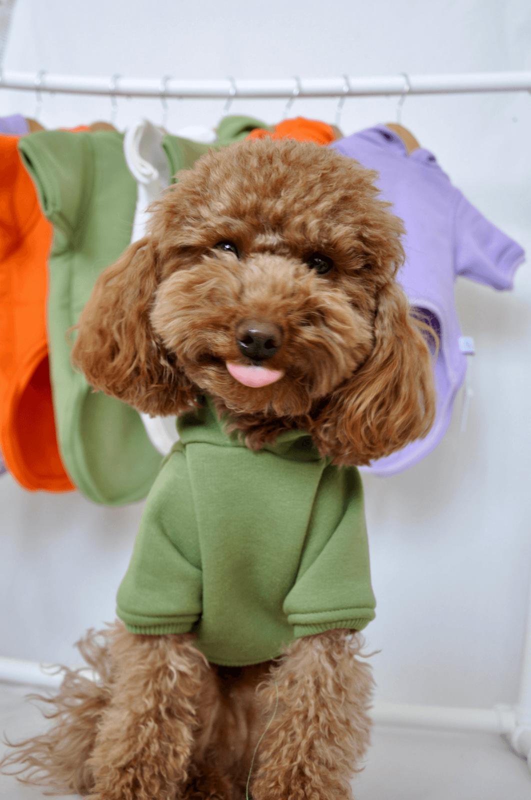 Maura Hoodie - Yeşil - Pups & Itchy
