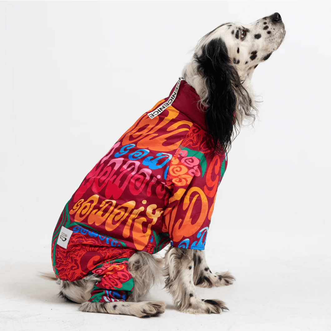 Köpek Jumpsuit - Colourful - Pups & Itchy