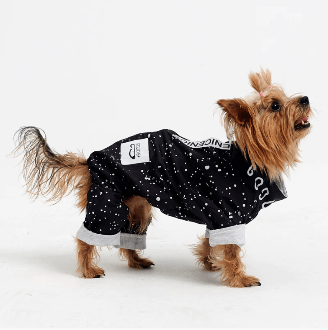 Köpek Jumpsuit - Space - Pups & Itchy