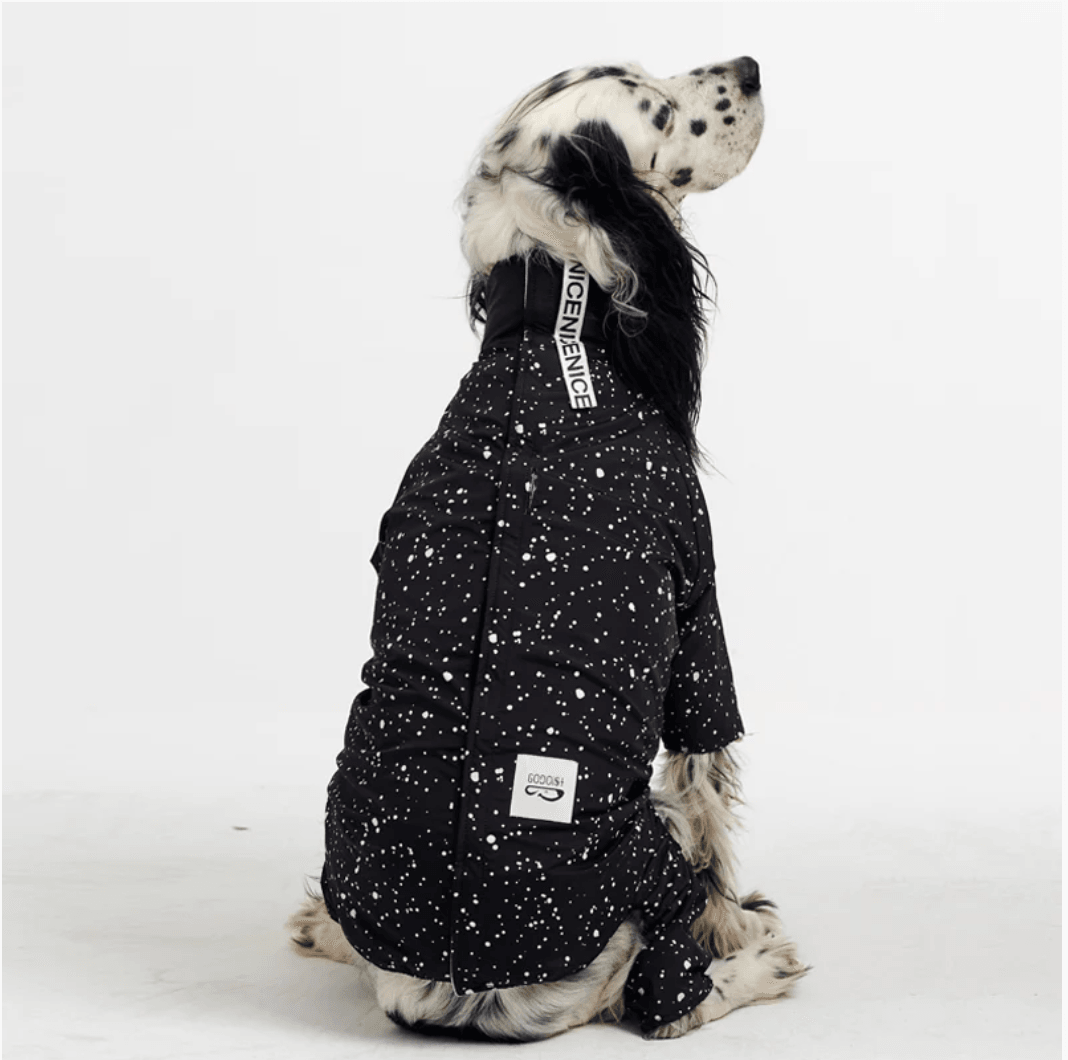 Köpek Jumpsuit - Space - Pups & Itchy