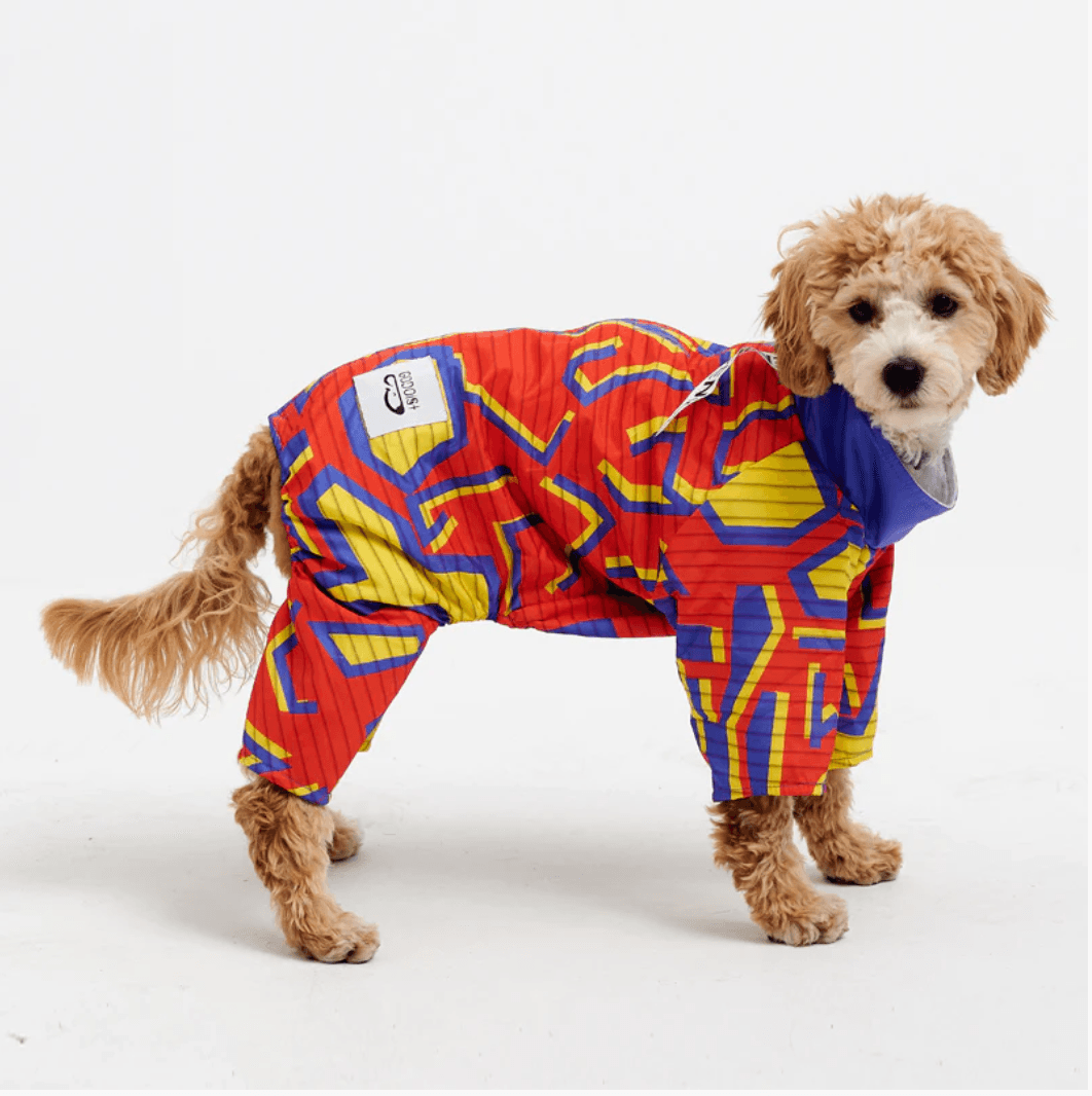 Köpek Jumpsuit - Pixel - Pups & Itchy