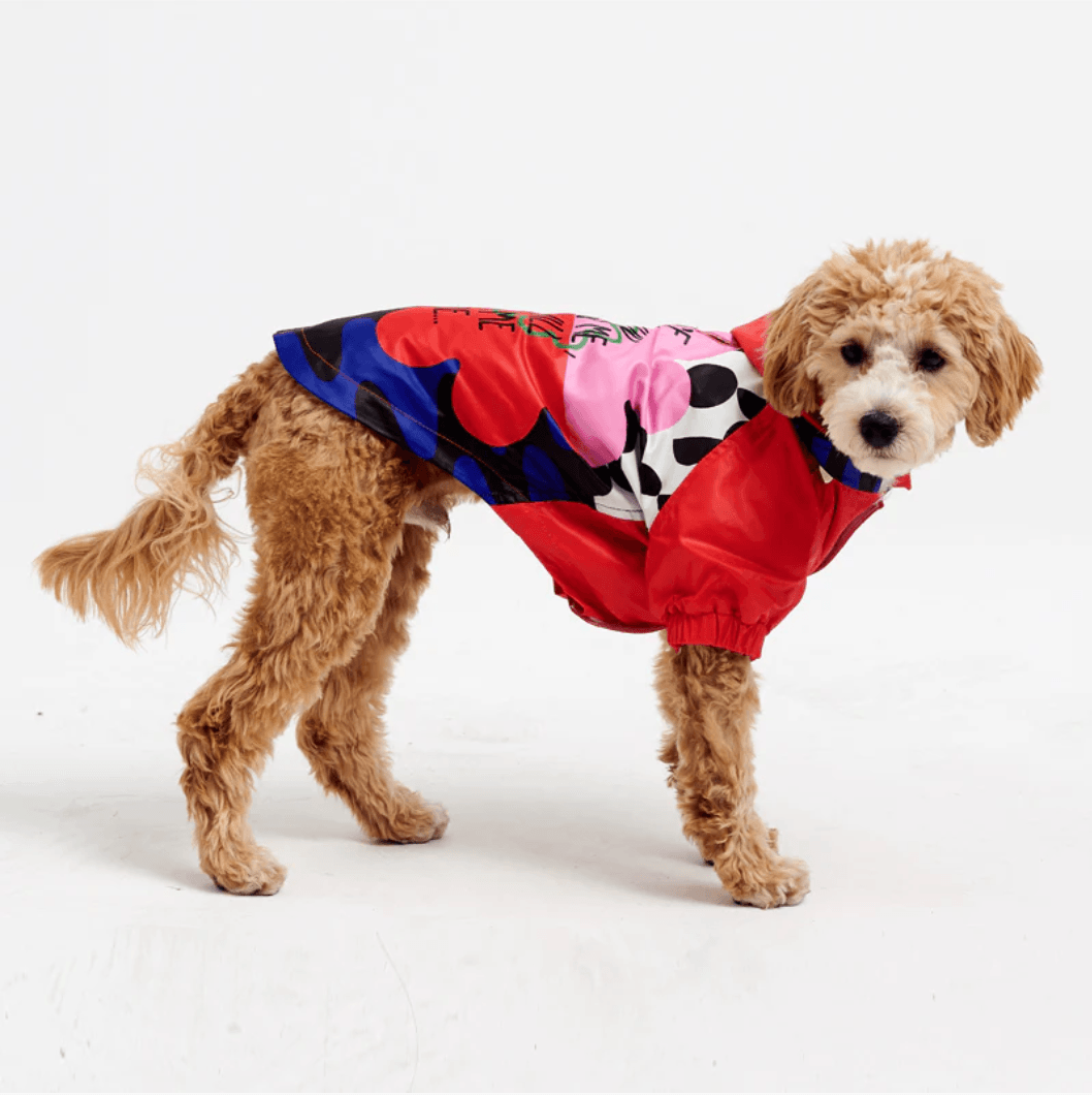 Köpek Yağmurluk - Flower - Pups & Itchy